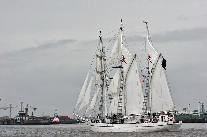 sail24.jpg