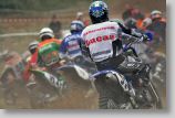 motocross07.jpg