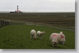 westerhever15.jpg