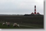 westerhever17.jpg