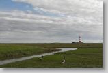 westerhever36.jpg