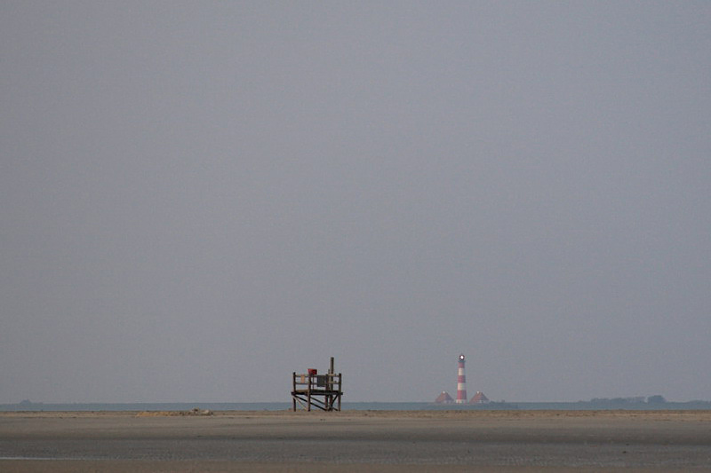 westerhever03.jpg