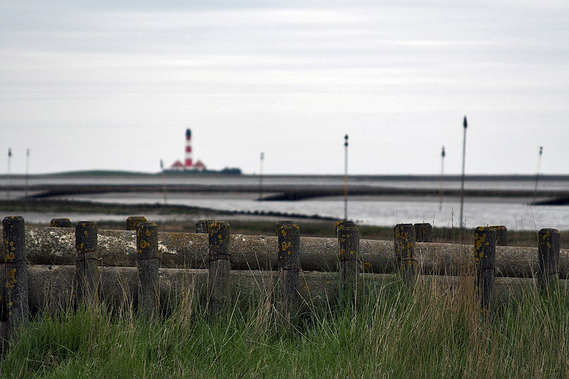 westerhever06.jpg