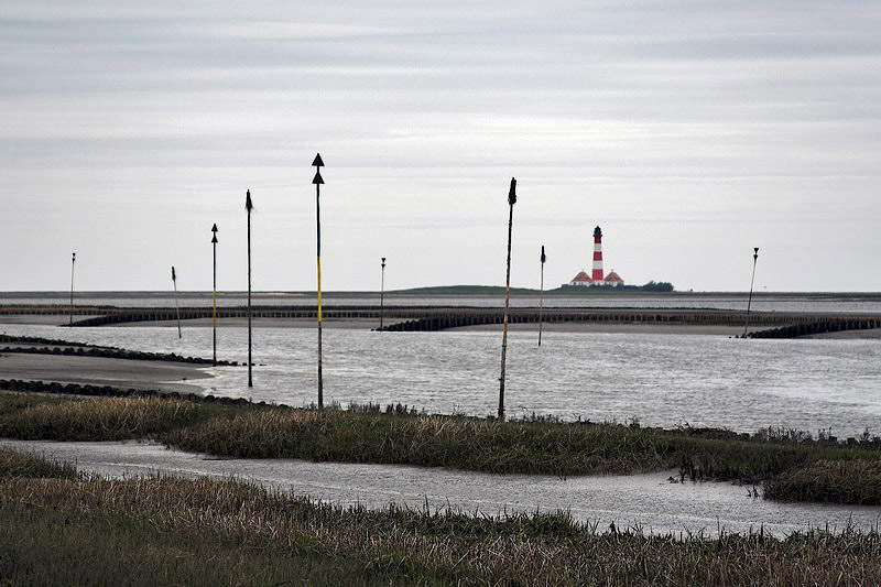 westerhever07.jpg