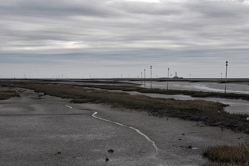 westerhever08.jpg