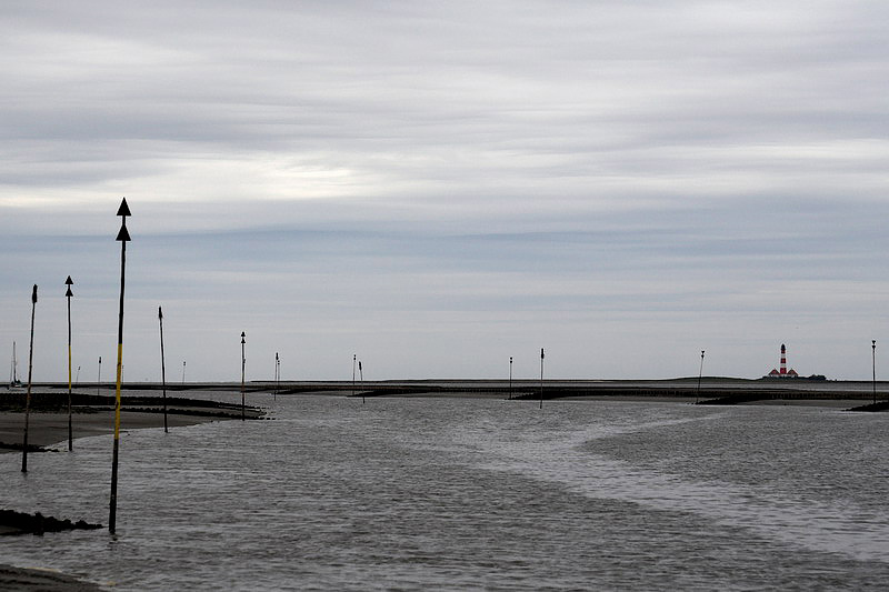 westerhever09.jpg