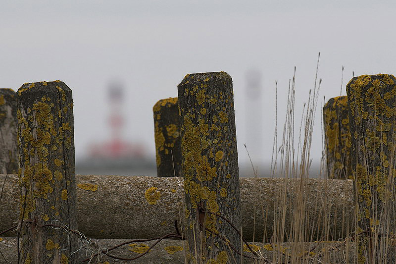 westerhever12.jpg