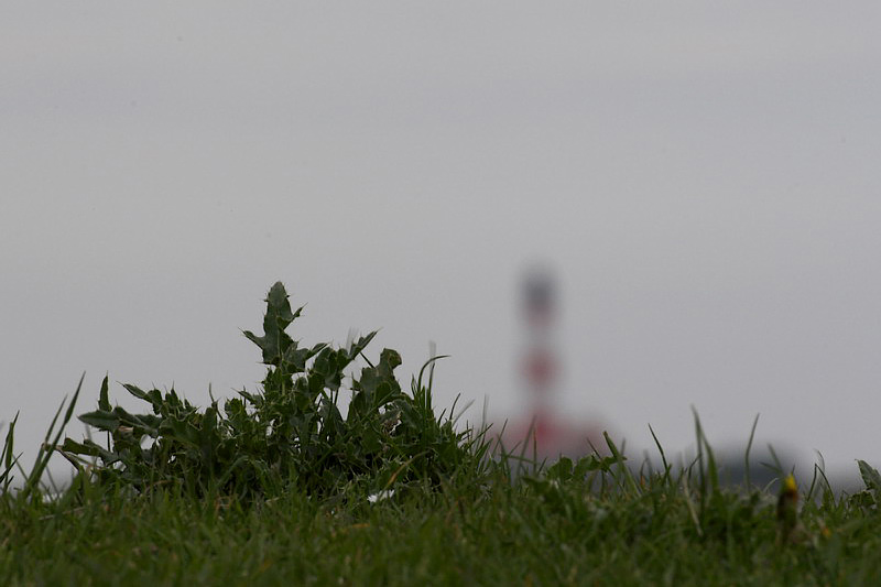 westerhever13.jpg