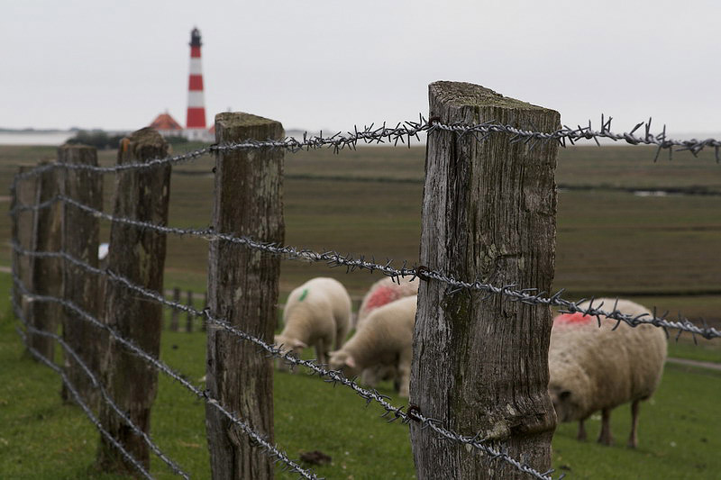 westerhever14.jpg