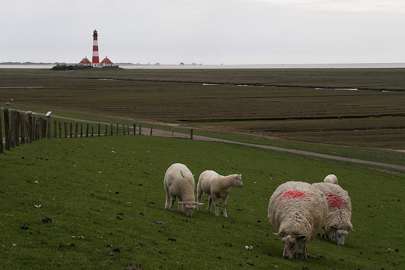 westerhever15.jpg