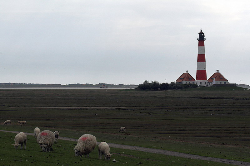 westerhever17.jpg