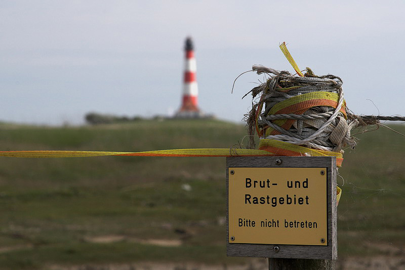 westerhever24.jpg