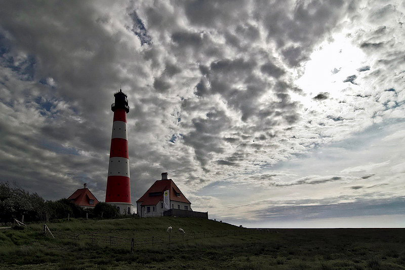 westerhever31.jpg