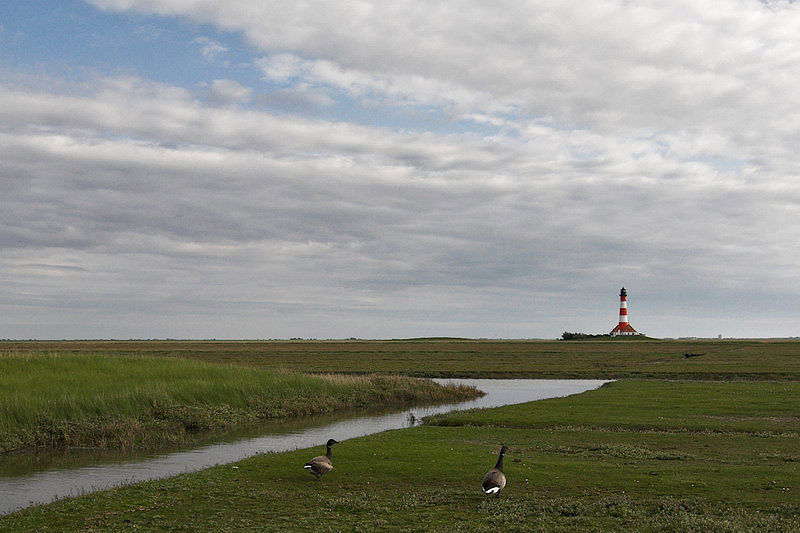 westerhever36.jpg