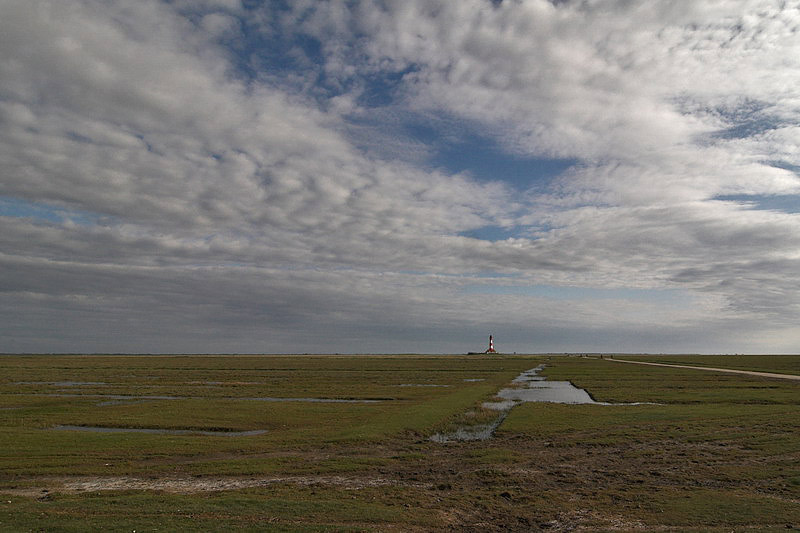 westerhever38.jpg