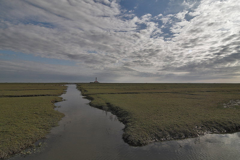 westerhever40.jpg