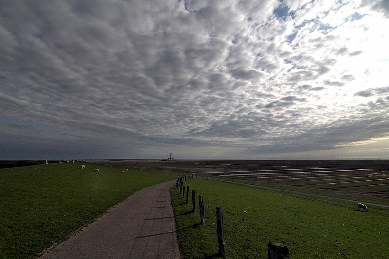 westerhever43.jpg