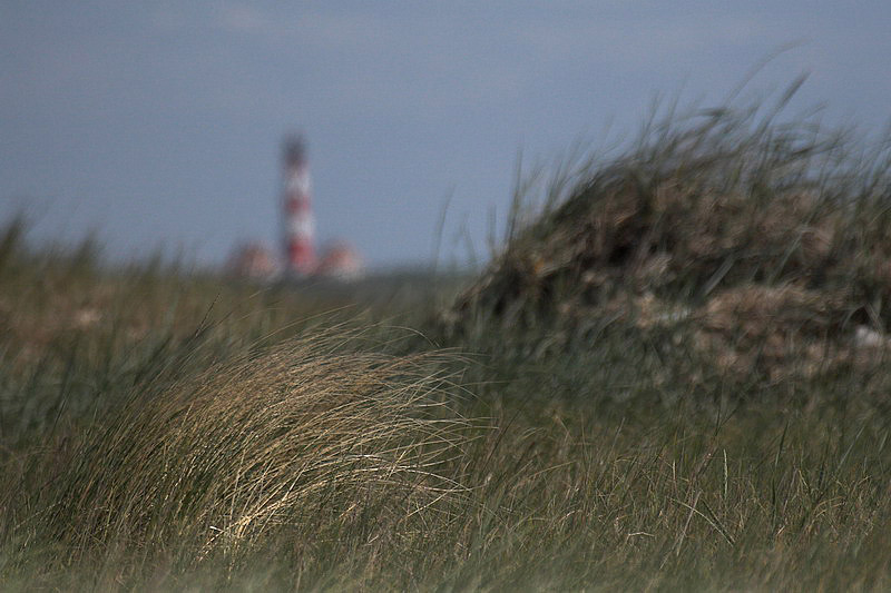 westerhever45.jpg