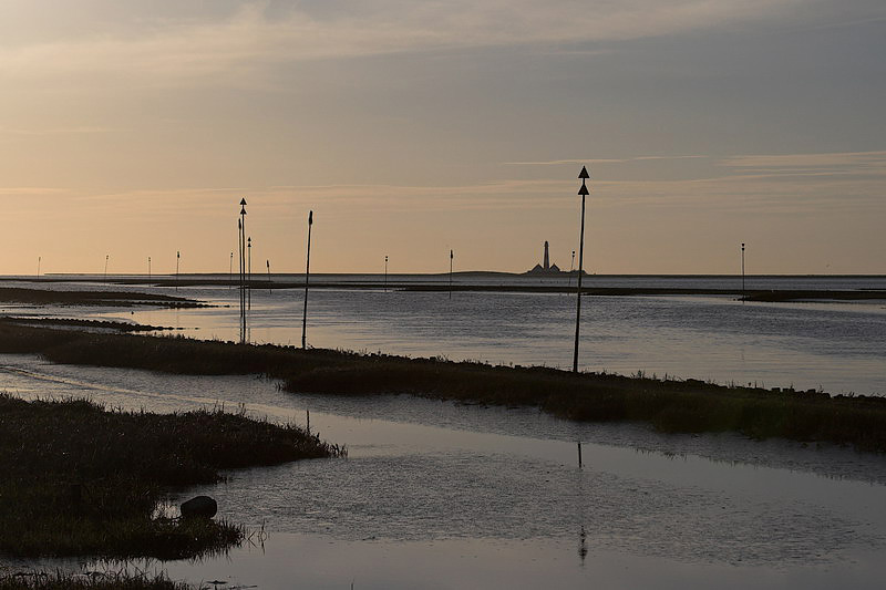 westerhever48.jpg