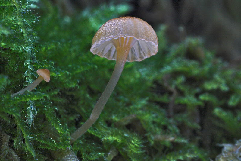 oktober080.jpg