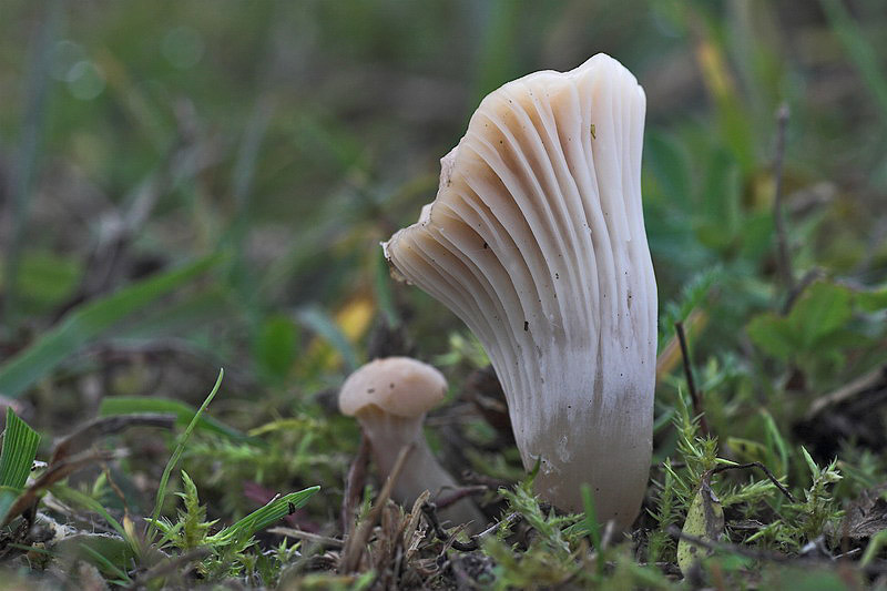 oktober089.jpg