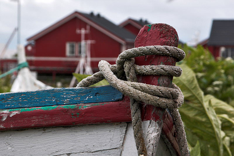 lofoten005.jpg