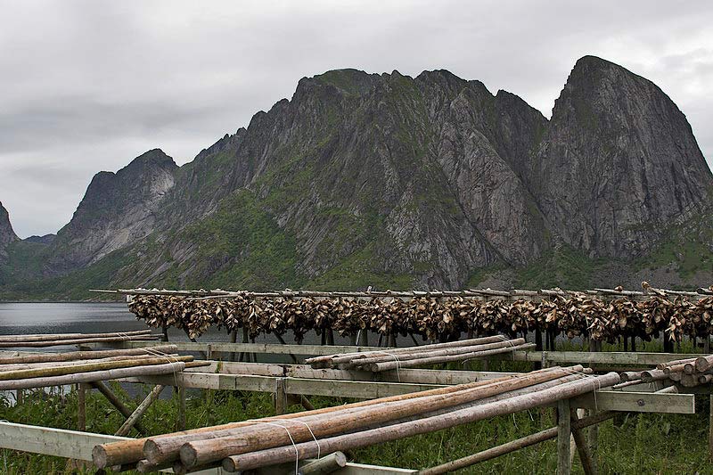 lofoten052.jpg