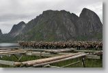 lofoten052.jpg