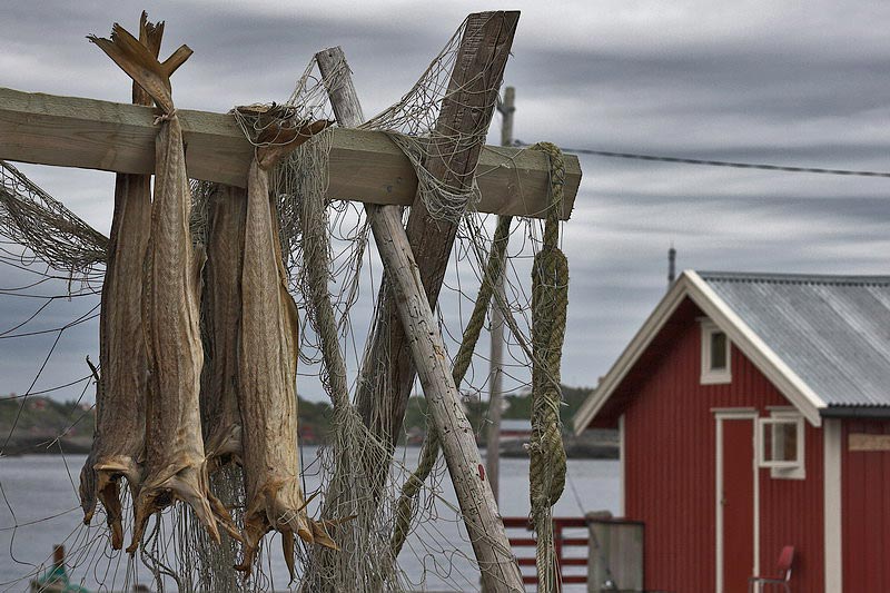 lofoten065.jpg